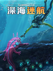 斐乐最便宜T恤多少钱