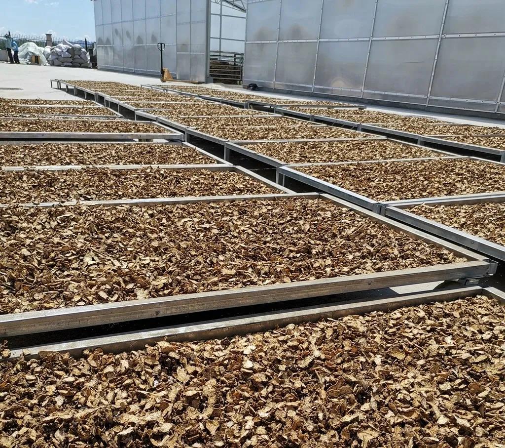 微信圖片_20201123084744.jpg 微信圖片_20201123084744.jpg